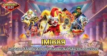 imi689